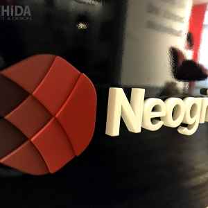 Logo Neogrid