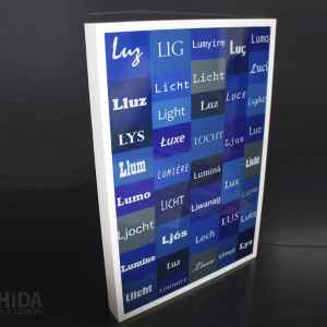 Backlights luz regina silveira