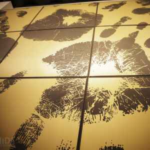 Obra "Touch" Regina Silveira